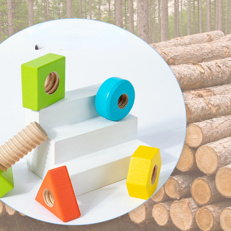 Wooden Shape Nut Pairing Montessori Toys Fine Motor Skills 4