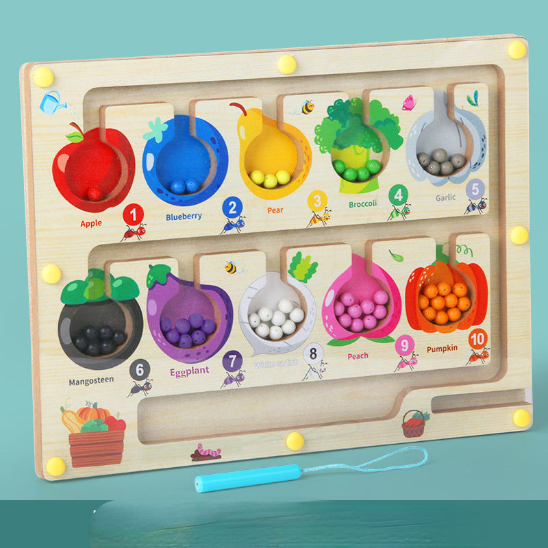 Wooden Montessori Toys Magnetic Plate Puzzle for Toddlers 5
