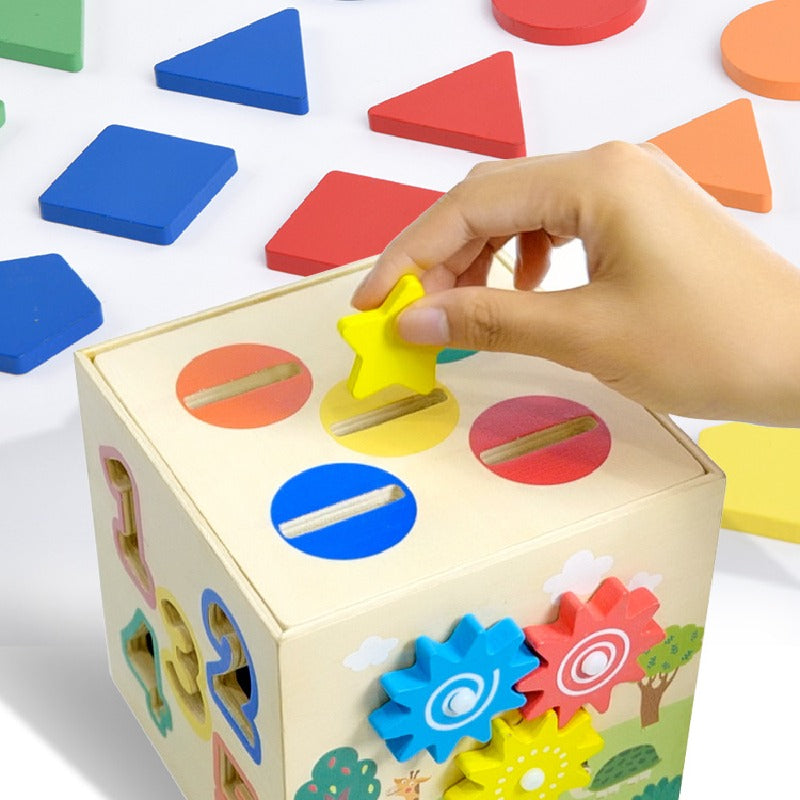 Wooden Multi-Function Coin Box Montessori Toys
