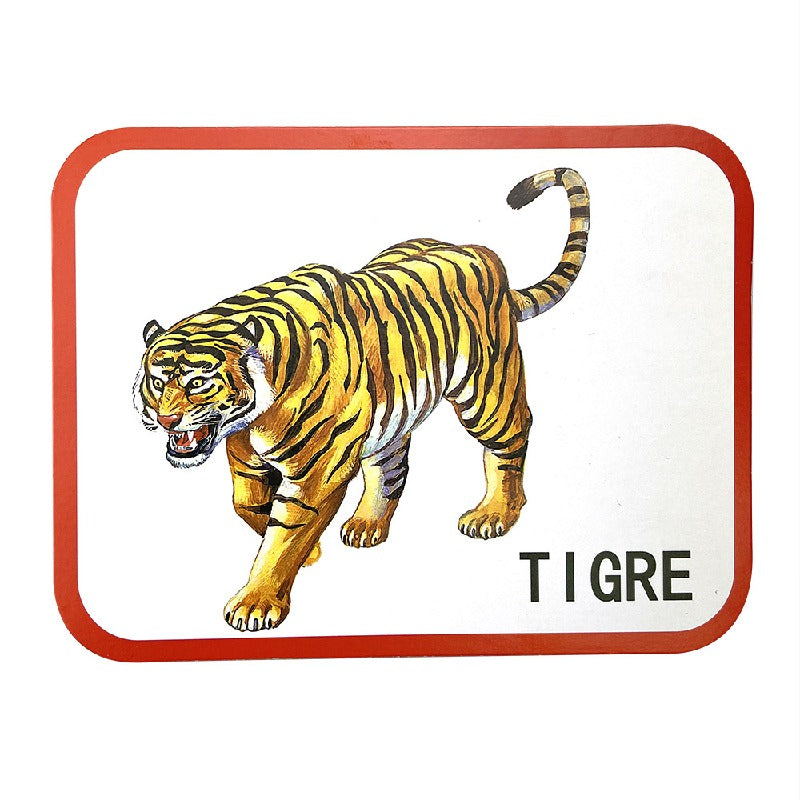 Animal Spanish Alphabet Learning Educational Toy Flash Cards 8