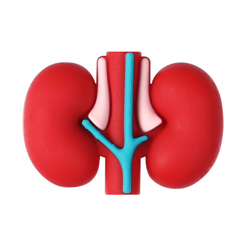 20Pcs Silicone 3D Focal Beads Cartoon Organs Detailed Design 12