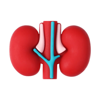 20Pcs Silicone 3D Focal Beads Cartoon Organs Detailed Design 12