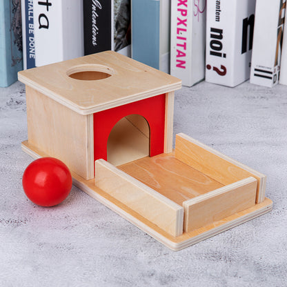 Wooden Montessori Toys Permanent Target Box for Toddlers 3