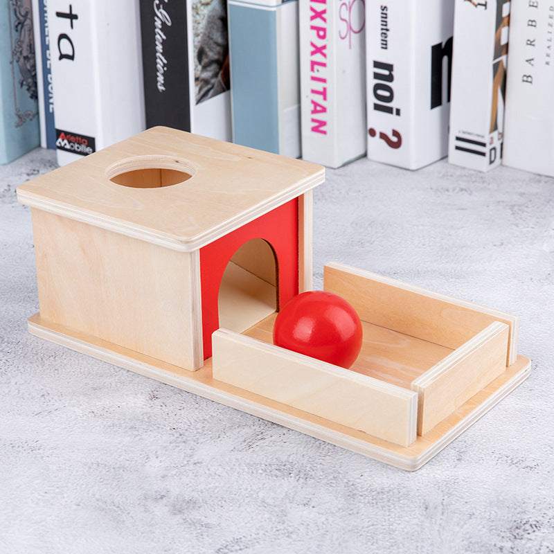 Wooden Montessori Toys Permanent Target Box for Toddlers 2