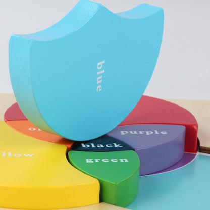 Wooden Montessori Toys Color Matching Sorting Toy 23cm 4