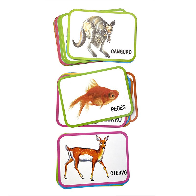 Animal Spanish Alphabet Learning Educational Toy Flash Cards 4