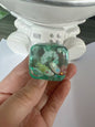 Shell Sensory Squishy Toy Soft TPR Stress Relief 4