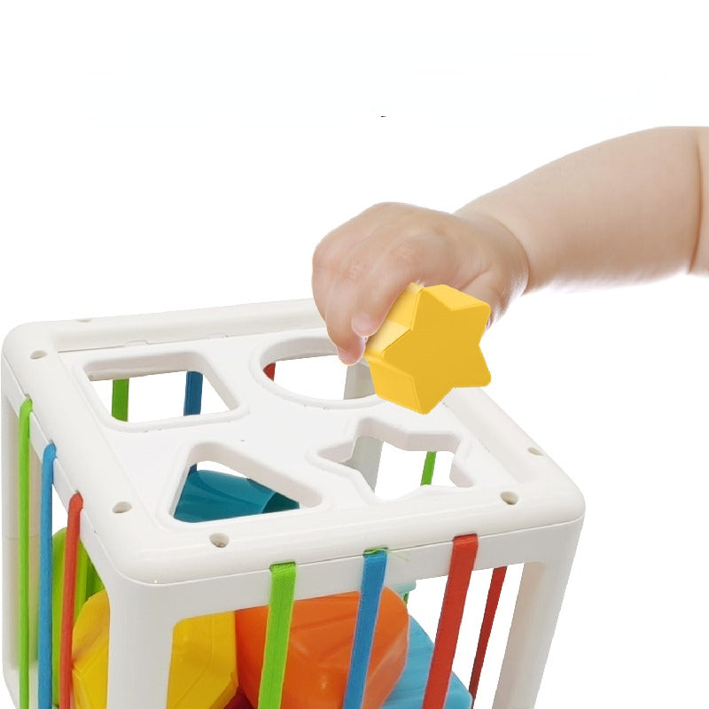 Plastic Fine Motor Montessori Toys Shape Sorting for Toddlers 3