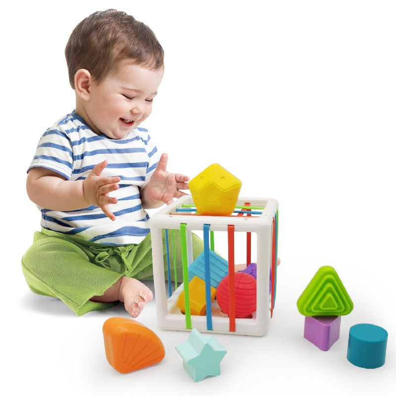 Plastic Fine Motor Montessori Toys Shape Sorting for Toddlers 2