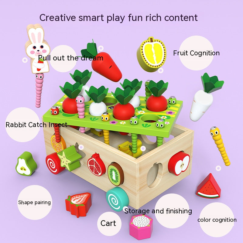 Wooden Farm Orchard Shape Matching Montessori Toys for Toddlers 6