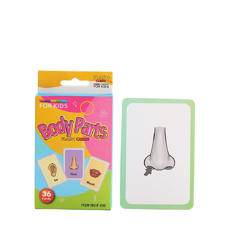 Educational Flash Cards Animal Transport Fun Paper Learning Toy 14