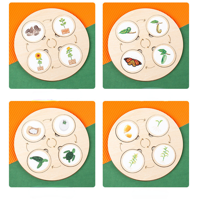 Wooden Animal and Plant Life Cycle Montessori Toys Learning Board 3