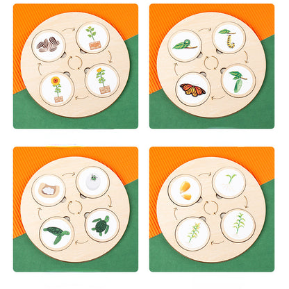 Wooden Animal and Plant Life Cycle Montessori Toys Learning Board 3