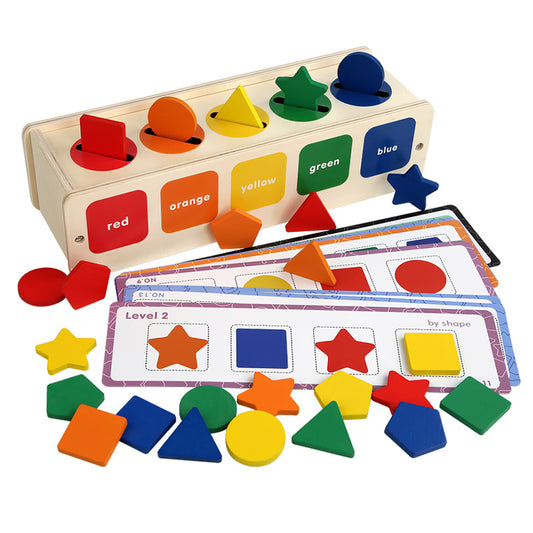 Wooden Montessori Toys Color and Shape Sorting Box