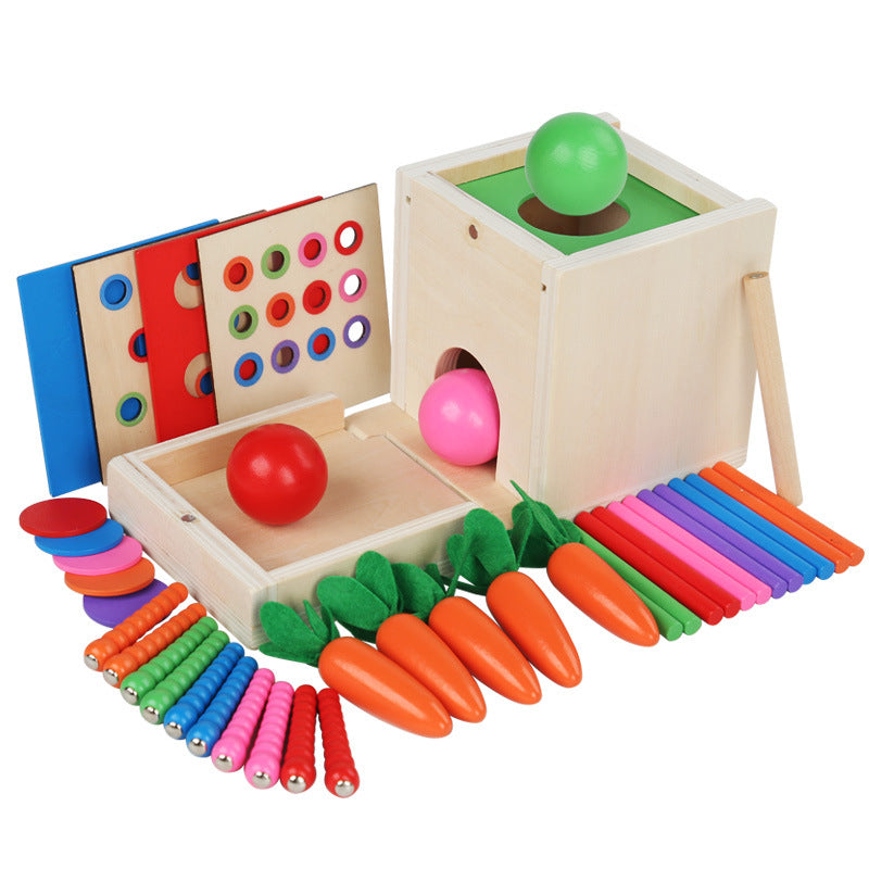 Wooden Montessori Toys Paired Color Blocks Educational Set