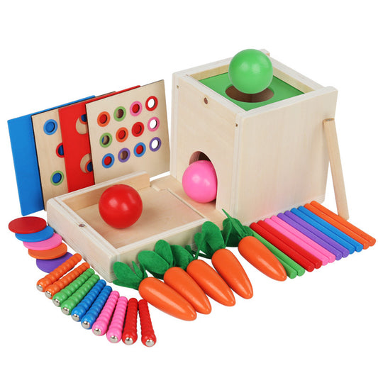 Wooden Montessori Toys Paired Color Blocks Educational Set