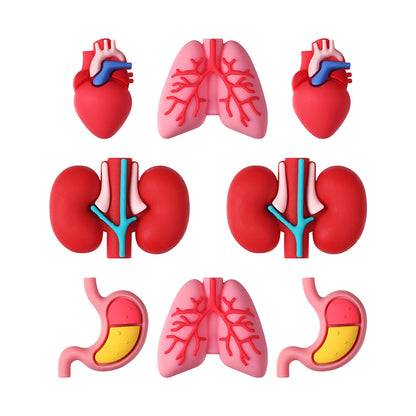 20Pcs Silicone 3D Focal Beads Cartoon Organs Detailed Design
