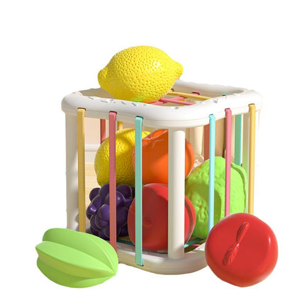 Plastic Montessori Toys Finger Action Training Fruit Toy for Kids