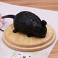 Plastic Fruit and Animal Splat Ball Squishy Toy Sensory Fidget 31