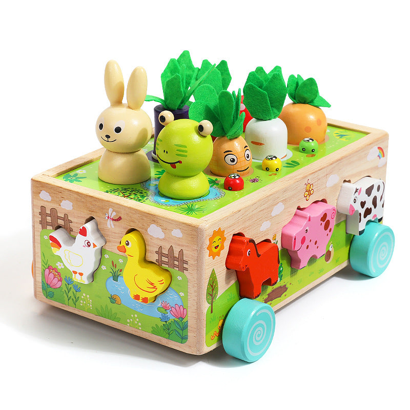 Wooden Farm Orchard Shape Matching Montessori Toys for Toddlers