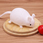 Plastic Fruit and Animal Splat Ball Squishy Toy Sensory Fidget 30