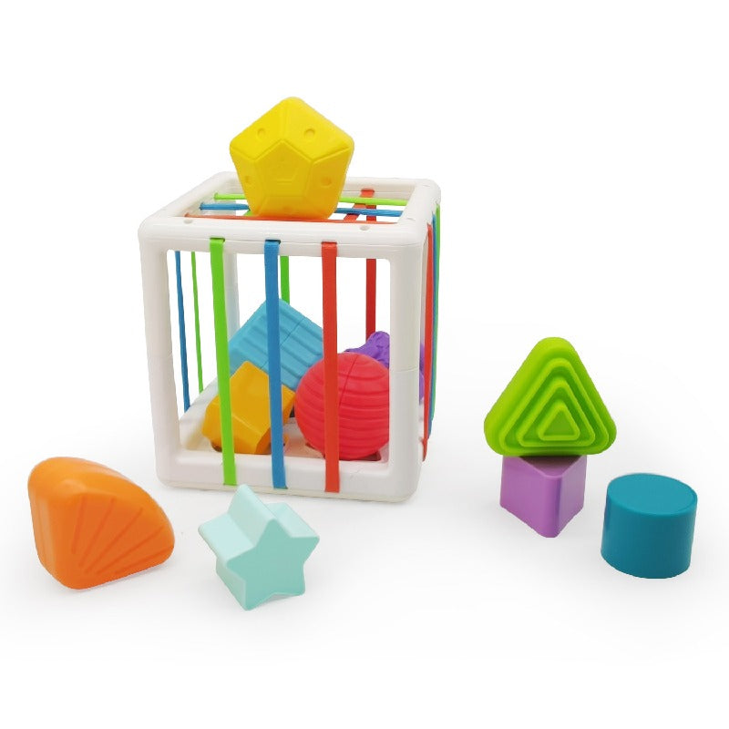Plastic Fine Motor Montessori Toys Shape Sorting for Toddlers