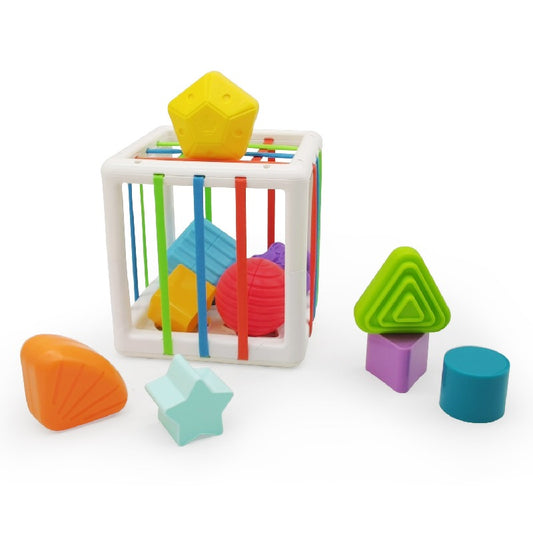 Plastic Fine Motor Montessori Toys Shape Sorting for Toddlers