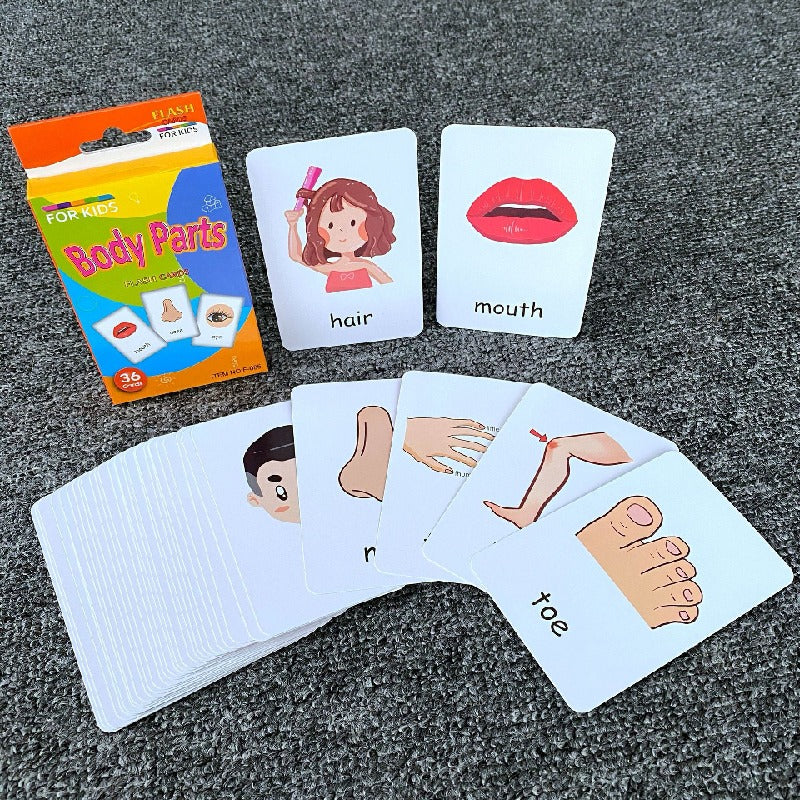 Educational Paper Flash Cards Early Development Toy 7.8x11.7cm