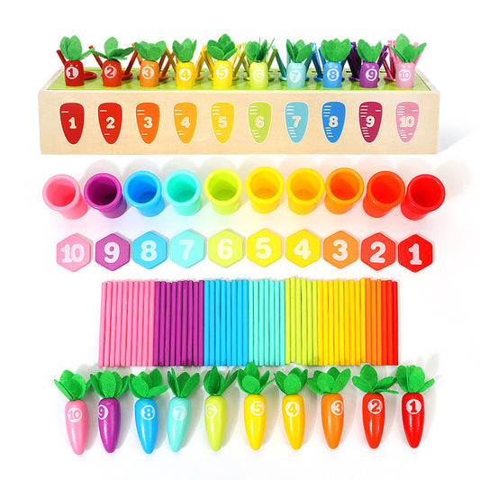 Wooden Coin Box Montessori Toys Educational Fine Motor Skills