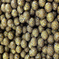 50pcs 15mm Leopard Silicone Beads Printed Design Multi Color
