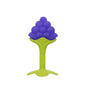 Silicone Fruit Shape Baby Teething Toy for Infants 9