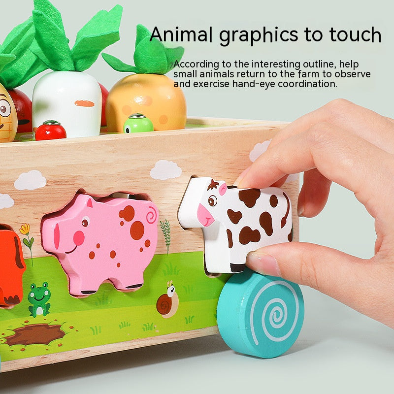 Wooden Farm Orchard Shape Matching Montessori Toys for Toddlers 9
