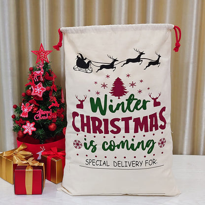 Christmas Canvas Gift Bag Double Drawstring Mouth 50x70cm 8