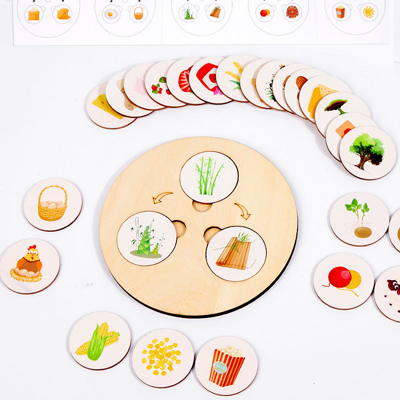 Life Cycle Wooden Puzzle Montessori Toys Educational Toy for Kids 4