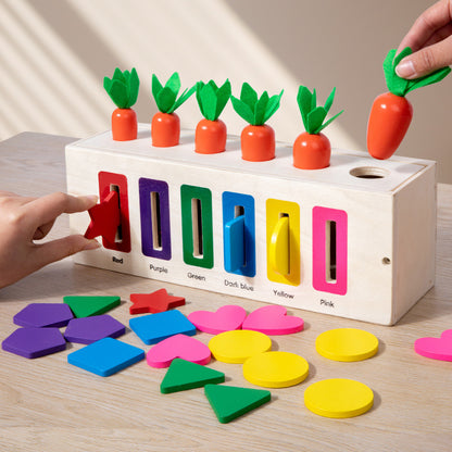 Wooden Montessori Toys Coin Box Radish Building Blocks 4