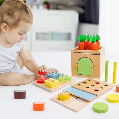 Wooden Fruit Matching Montessori Toys Educational Box for Kids 3