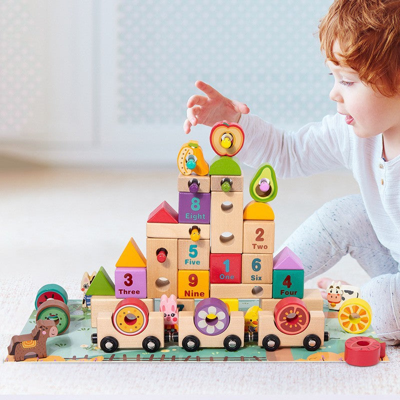 Wooden Building Blocks Educational Farm Toy for Kids 3