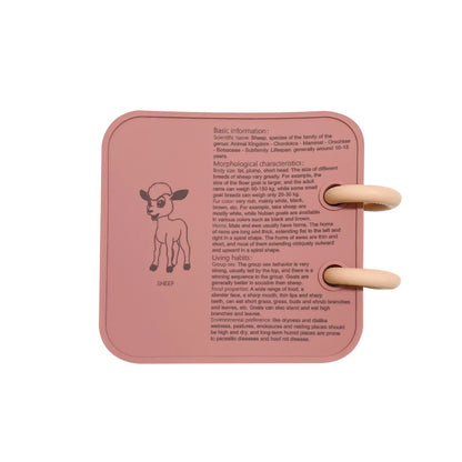 Silicone Baby Finger Training Flip Page Bath Teether 8