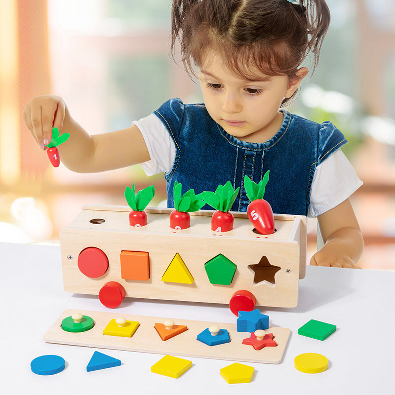 Wooden Shape Pairing Building Blocks Montessori Toys for Kids 4