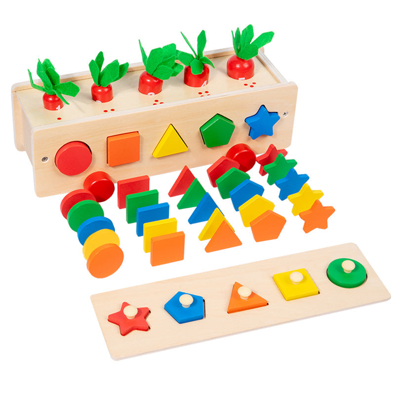 Wooden Shape Pairing Building Blocks Montessori Toys for Kids