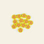 Silicone Focal Beads Petal Round Cookie Cutout Center 10