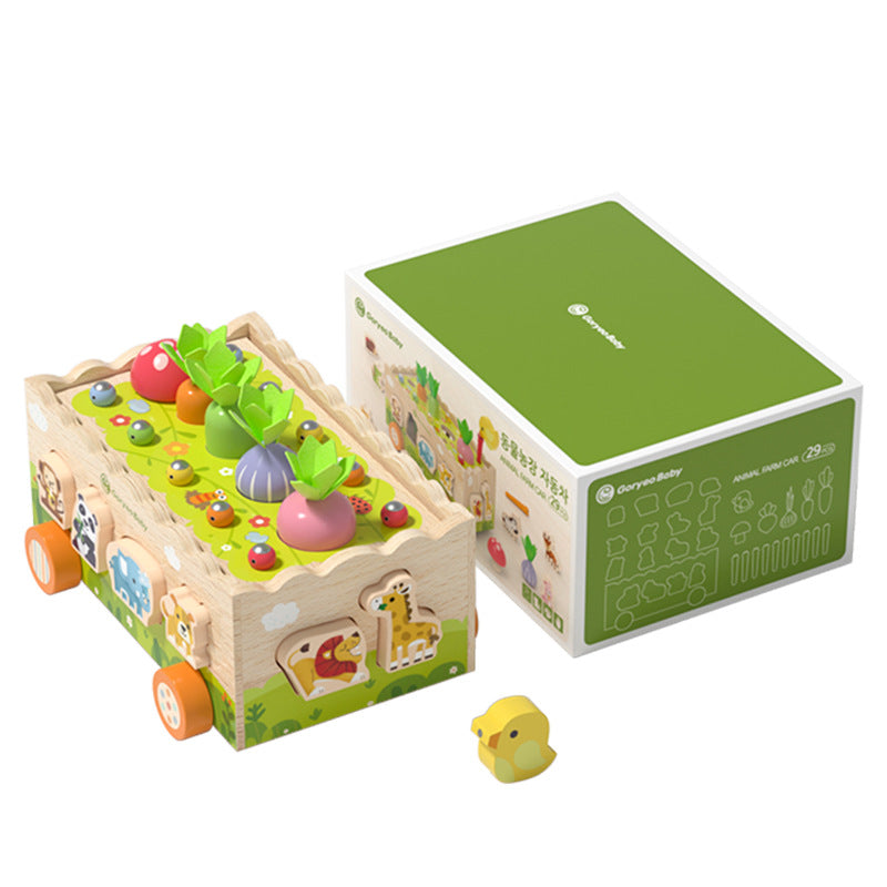 Wooden Montessori Toys Shape Pairing Educational Toy for Kids