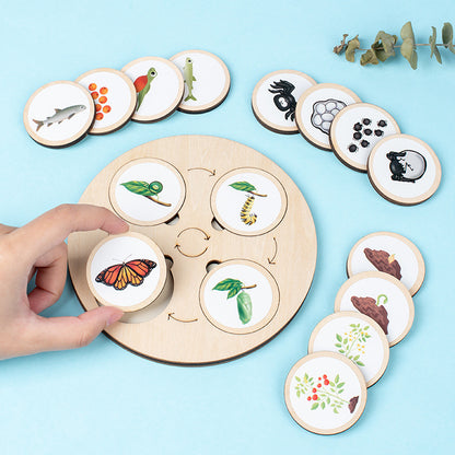 Wooden Animal and Plant Life Cycle Puzzle Educational Toy 5
