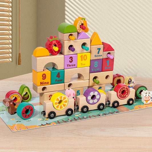 Wooden Educational Building Blocks Train Montessori Toy for Kids