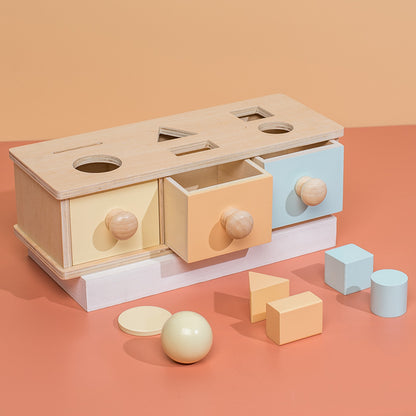 Wooden Montessori Toys Ball Dropping Sorting Educational Toy 4