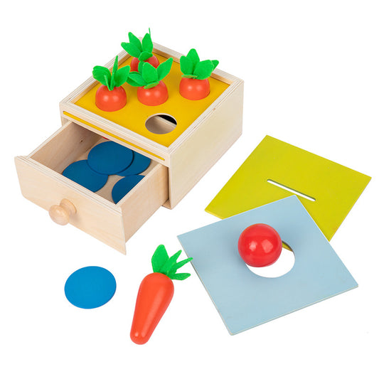 Wooden Montessori Toys Pulling Carrots Discs Educational Toy