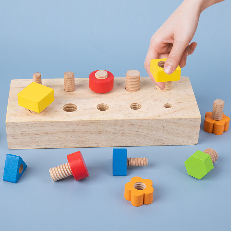Wooden Screw Montessori Toys Educational Fine Motor Skills Toy 3
