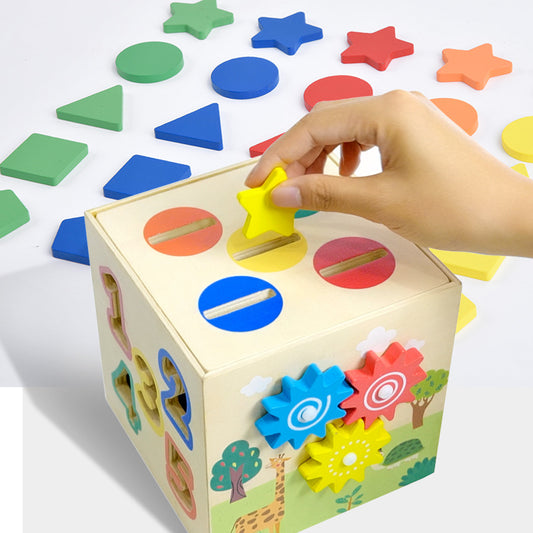 Wooden Shape Sorter Montessori Toys for Toddlers 16.6cm