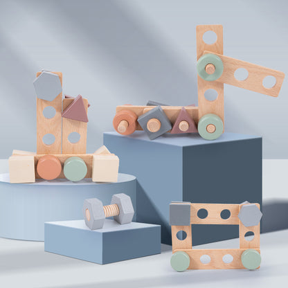 Wooden Screw Geometry Montessori Toys Fine Motor Skills 5