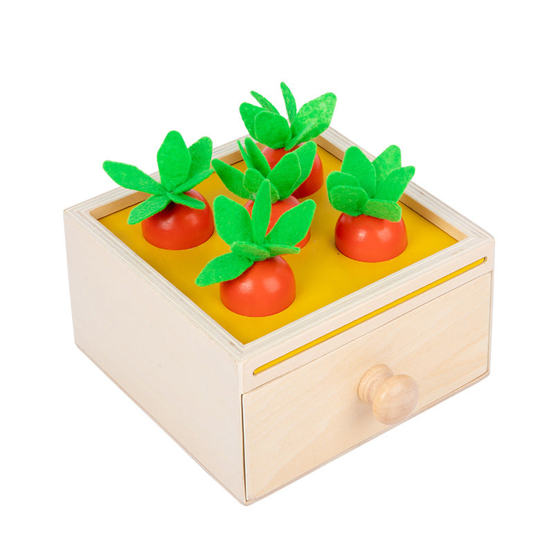 Wooden Montessori Toys Pulling Carrots Discs Educational Toy 5